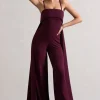 Amaya | Dark Plum Bandeau Wide-Leg Jumpsuit With Cape