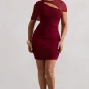 Himalaya | Mulberry Ruched Mini Dress With Mesh Overlay