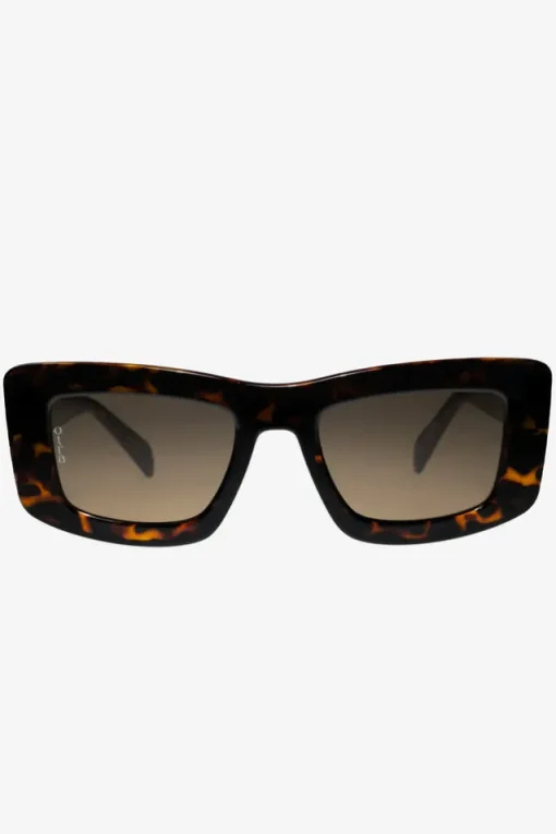 Marsha | Otra Tortoiseshell Thick Cat Eye Brown Tinted Sunglasses