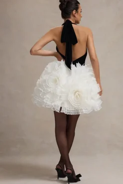 Meringue | Black Velvet Plunge-Neck Mini Dress With Tulle Skirt